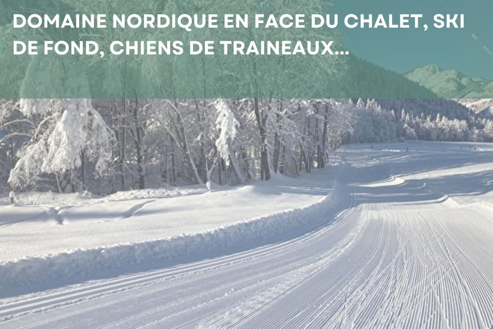 Chalet Les 4 Saisons - Ski, Parking Et Jardin La Chapelle-d'Abondance Bagian luar foto