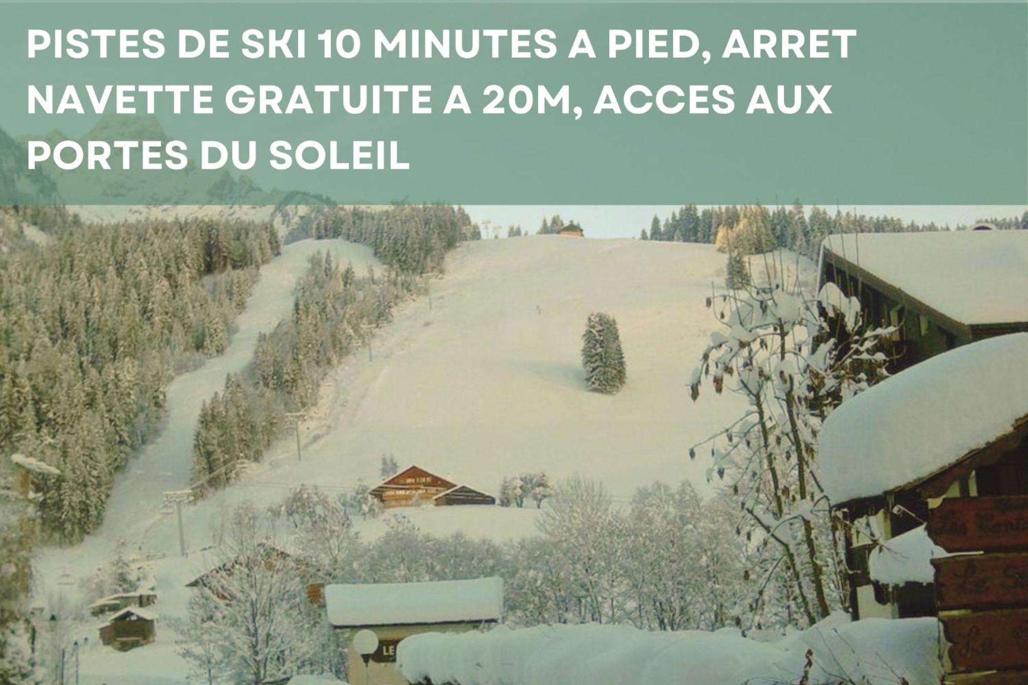 Chalet Les 4 Saisons - Ski, Parking Et Jardin La Chapelle-d'Abondance Bagian luar foto